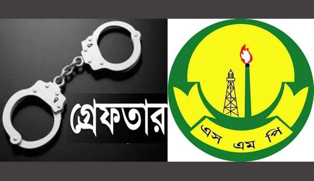 সিলেটে পুলিশের অভিযান: ৬৫ গ্রেফতার, ১৬৭ যানবাহনে ব্যবস্থা