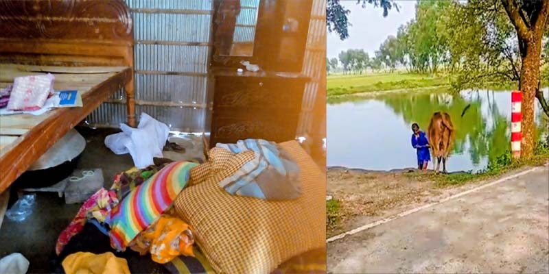 তালাকের নোটিশের পর শ্বশুরবাড়িতে তুলকালাম, গরু নিয়ে গেল জামাইপক্ষ! তালাকের নোটিশের পর শ্বশুরবাড়িতে তুলকালাম, গরু নিয়ে গেল জামাইপক্ষ!