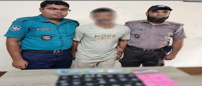 সিলেটের কাষ্টঘরে বিপুল পরিমাণ ইয়াবাসহ মাদক ব্যবসায়ী সেলিম গ্রেফতার
