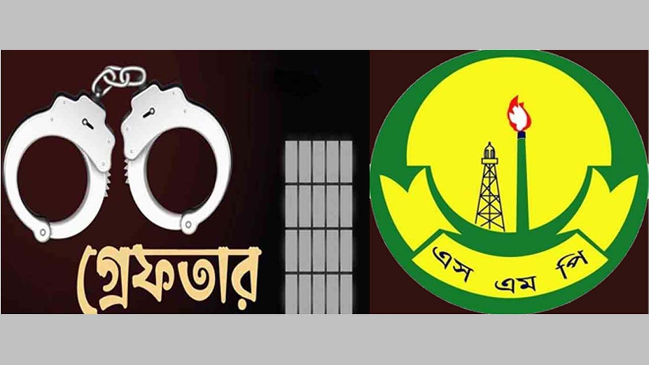 সিলেটে পুলিশের অভিযানে ৬৫ গ্রেফতার, ৭১ যানবাহনে মামলা ও আটক