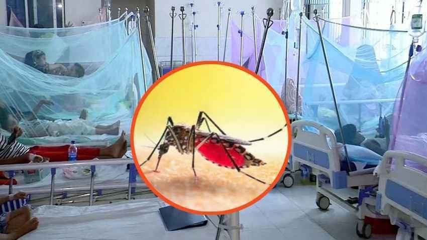 বর্ষার শুরুতেই সিলেটে বাড়ছে ডেঙ্গুর প্রকোপ, আক্রান্ত ৬৩