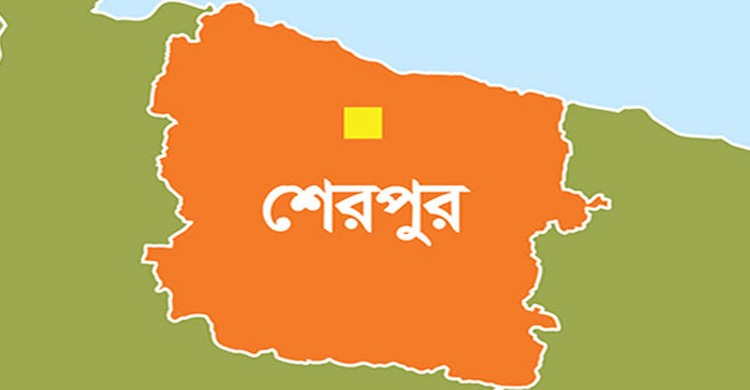 শেরপুরে ঊর্ধ্বতন কর্মকর্তার সাথে অসদাচরণ, সহকারী নির্বাচন অফিসারের বেতন কমিয়ে শাস্তি