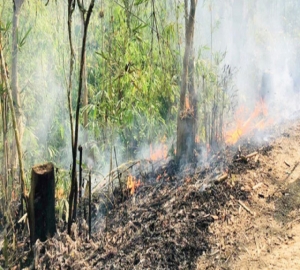 মৌলভীবাজারে 