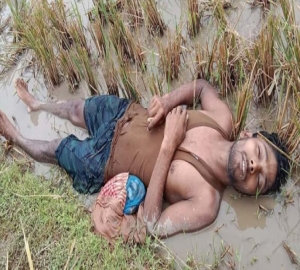 দোয়ারাবাজারে হাওরের ধানক্ষেতে পড়েছিল যুবকের লাশ