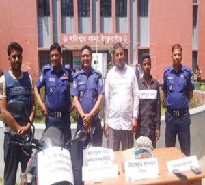 হরিপুরে গাঁজাসহ দুই মাদক ব্যবসায়ী আটক
