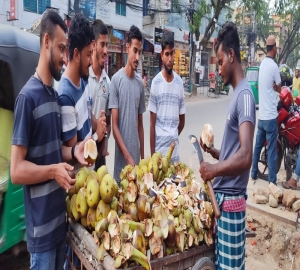 জ্যৈষ্ঠের তাপদাহে সিলেটে কদর বেড়েছে তাল শাঁসের