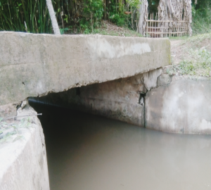 জুড়ীতে কালভার্ট নির্মানে নিম্ন মানের কাজে বিভিন্ন স্থানে ফাটল