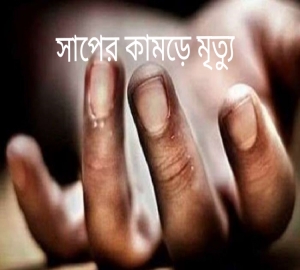 চুনারুঘাটে সাপের কামড়ে কিশোরের মৃত্যু