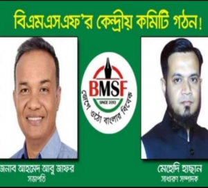 বিএমএসএফর কেন্দ্রীয় কমিটি গঠন