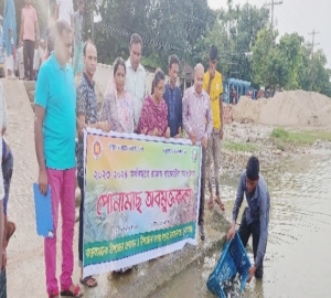 জামালগঞ্জে সুরমা নদী ও পাগনার হাওরে পোনা মাছ অবমুক্ত 