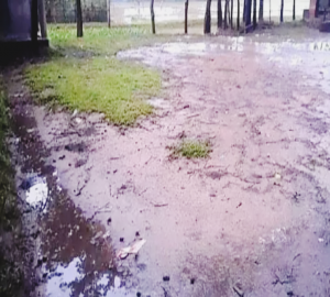  ছাতকে কাজ না করে প্রকল্পের টাকা আত্মসাত