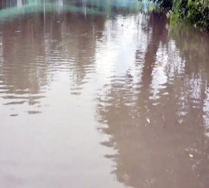 মাধবপুরে পুকুরের পানিতে ডুবে ফুফু ও ভাতিজার মৃত্যু