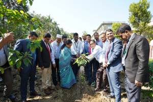 মৌলভীবাজারে পূবালী ব্যাংকের উদ্যােগে  বৃক্ষরোপণ কর্মসূচি পালন