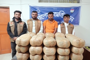 মাধবপুরে ৬০ কেজি ভারতীয় গাঁজাসহ গ্রেফতার ১০ মামলার আসামী