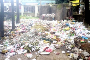 ময়লা আর মশার ঘেরে হবিগঞ্জ আধুনিক হাসপাতাল