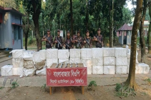সীমান্তে ২২ লাখ টাকার ইলিশ জব্দ