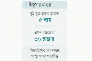 টাঙ্গুয়ার হাওরে নজিরবিহীনভাবে কমেছে অতিথি পাখির আগমন