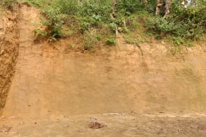 জুড়ীতে টিলা কাটার মহোৎসব ঝুঁকিতে দুই শতাধিক ঘরবাড়ি 