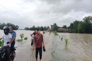 মৌলভীবাজারে কমছে বন্যার পানি, বাড়ছে পানিবাহিত রোগের ঝুঁকি
