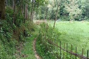 দক্ষিন বড়ধামাই গ্রামের একমাত্র রাস্তাটির বেহাল দশা -দেখার যেনো কেউ নেই