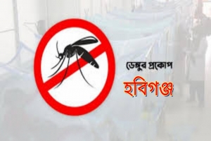 সিলেট বিভাগে ডেঙ্গুর হটস্পট হবিগঞ্জ