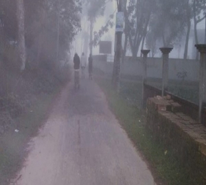 শ্রীমঙ্গলে তাপমাত্রা কমতে শুরু করেছে