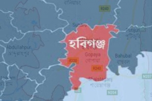 হবিগঞ্জে সং ঘ র্ষে যুবক নি হ ত, মাধবপুরে বাবার হাতে মেয়ে খু ন