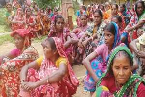 এনটিসির বকেয়া মজুরির দাবিতে অনির্দিষ্টকালের কর্মবিরতিতে চা শ্রমিকরা