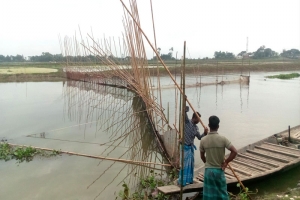 বানিয়াচংয়ে নদীতে বাঁধ দিয়ে মাছ শিকার