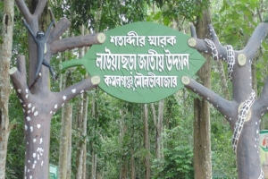 লাউয়াছড়া সীমানা নির্ধারণে ব্যর্থতা, বেদখলে বনের জমি