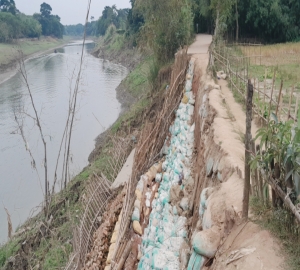 ছাতকে নদী ভাঙনে কারনে লক্ষাধিক মানুষ দুর্ভোগে