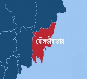 মৌলভীবাজার-১ আসন : ডামি প্রার্থী পায়নি আওয়ামী লীগ!