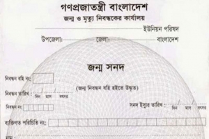 প্রশ্নবিদ্ধ জন্মনিবন্ধন,বাহুবলে ওয়ারিশ সনদে কোটি টাকার জমি বিক্রি