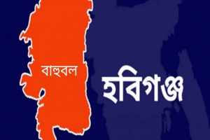 বাহুবলে একই পরিবারের দুইজনকে কুপিয়ে ক্ষত বিক্ষত : আটক ২