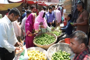 ৪৪ টাকায় কেনা লেবু ১২০ টাকায় বিক্রি, ৫ হাজার টাকা জরিমানা