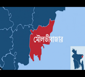 মৌলভীবাজারে সার্ভার হ্যাক করে রোহিঙ্গা নিবন্ধন