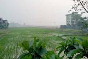 শান্তিগঞ্জ কার্যালয় নির্মাণের প্রকল্প ফাইলচাপা