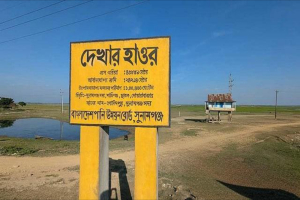 হাওরে ফসলডুবি: সরকারি সহায়তার তালিকায় ‘অনিয়ম’, বাদ পড়েছেন প্রকৃতরা