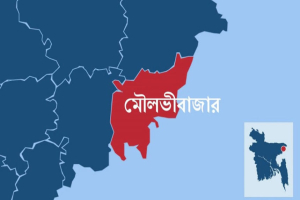 গেমচেঞ্জার চা শ্রমিক ও সংখ্যালঘু ভোট, মৌলভীবাজার ১