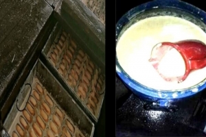 ‘নিম্নমানের আইসক্রিমে’ ক্যান্সারের উপাদান থাকে