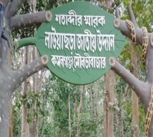 হরতাল-অবরোধে লাউয়াছড়ায় ৯০ শতাংশ পর্যটক কমেছে