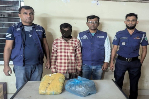 বড়লেখায় ২ কেজি গাঁজাসহ আ'ট'ক ১