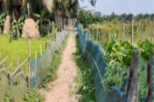 মৌলভীবাজারে রাস্তা নির্মাণে প্রবাসীর ভূমি দখলের চেষ্টা ৬ প্রভাবশালীর 