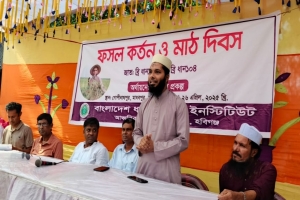 মাধবপুরে ধান চাষে শত কৃষকের সফলতা