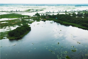 শ্রীমঙ্গলে বাইক্কার বিলে চোর-শিকারি আতঙ্ক