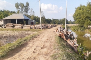 মৌলভীবাজারে বনের গাছ বিনাশের হিড়িক