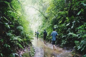মৌলভীবাজারে সাফারি পার্কের সেই প্রকল্প বাতিল