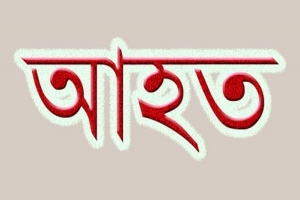 মাধবপুরে প্রতিপক্ষের হামলা যুবদলের নেতা সহ আহত ৬