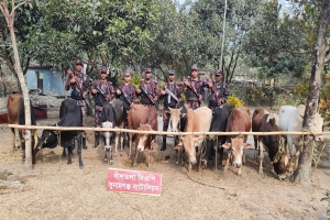 সুনামগঞ্জে বিপুল পরিমাণ ভারতীয় গরুসহ ১৫ লাখ টাকার মালামাল জব্দ 