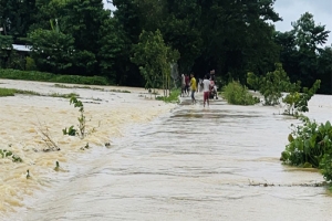 মৌলভীবাজারে নিম্নাঞ্চল প্লাবিত, জলমগ্ন ১৩৪৪ হেক্টর ফসল 